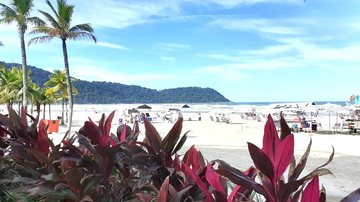 Previsão do tempo indica que fim de semana vai ser de sol, calor e sem chuvas na Baixada Santista Bora mergulhar? Confira a balneabilidade das praias da Baixada Santista neste fim de semana Praia do Boqueirão, em Praia Grande - Esther Zancan