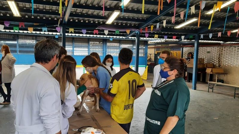 Alunos de Medicina Veterinária da Unimes participam do 56º Mutirão de Assistência Médico Veterinária - UNIMES