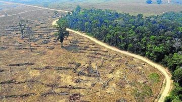 Área desmatada na Amazônia em 2019 Com Lula, Alemanha se junta à Noruega e também anuncia desbloqueio do Fundo Amazônia - Imagem: Reprodução / Carlos Fabal / AFP