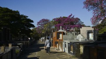 © Rovena Rosa/Agência