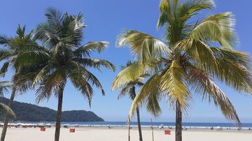 Praia do Canto do Forte é uma das que estão com bandeira verde da Cetesb em Praia Grande Confira como está a balneabilidade das praias em Praia Grande Praia do Canto do Forte, em Praia Grande, em dia ensolarado, com destaque para coqueiros - Esther Zancan