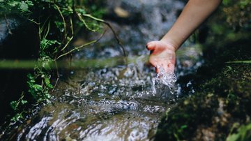 Hoje é o Dia Mundial da Água! Etecs de Fatecs de SP têm projetos para preservação e reuso da água Pessoa milhando a mão em um curso de água - Pexels