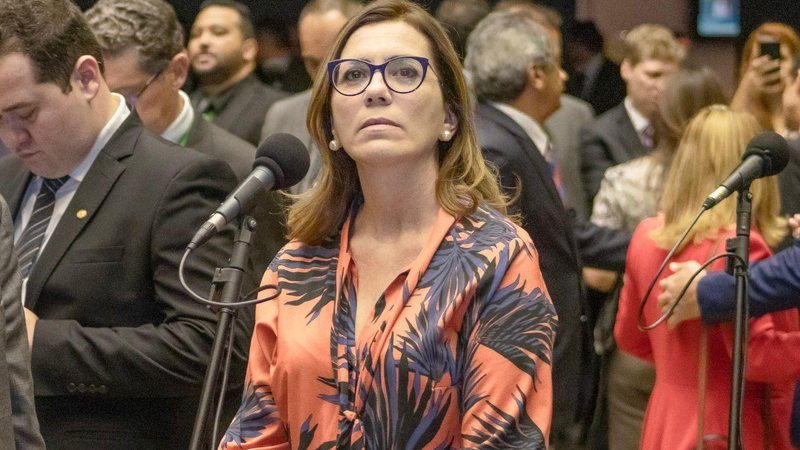 Parlamentar defende que, na prática, o decreto do governo federal invade a competência do Legislativo Deputada Rosana Valle no plenário - Fiamini - Soluções Integradas em Comunicação