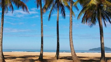 Praia do Gonzaga é uma das que estão com bandeira verde em Santos, segundo a Cetesb Santos tem apenas uma praia com bandeira vermelha neste fim de semana Praia do Gonzaga, em Santos - Prefeitura de Santos