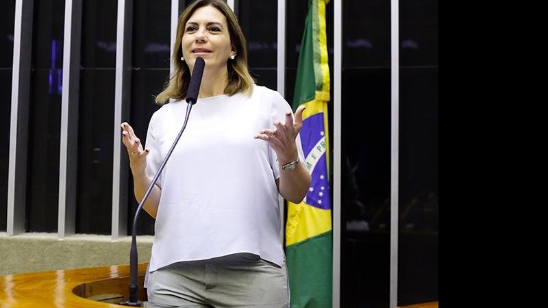 A deputada federal Rosana Valle é jornalista; foi repórter de TV durante muitos anos ROSANA VALLE DEPUATADA Rosana Valle no plenário da Câmara em Brasília - Câmara dos Deputados