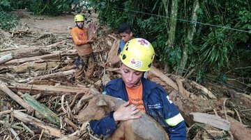 Porquinha Pepa foi levada a um local seguro para receber cuidados veterinários Voluntários resgatam cães, gatos, patos e até a porca "Pepa" no Litoral Norte de SP Voluntária resgata porquinha em São Sebastião - Governo de SP