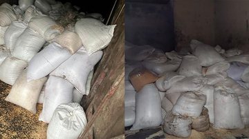 Polícia Civil recuperou cerca de 15 toneladas de produtos subtraídos de trêm Roubo de carga em Cubatão - Divulgação Polícia Civil