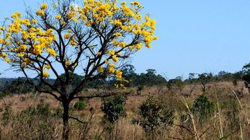 © Toninho Tavares/Agência