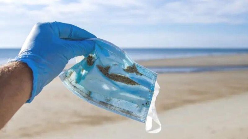 O caso do pinguim mostra que a pandemia ocasionada pelo coronavírus afetou não somente os seres humanos, como também a vida marinha Mais de 1400 máscaras foram encontradas desde o início da pandemia nas praias do Litoral Norte Pessoa coletando máscara desc - Unsplash