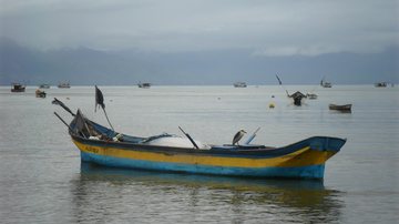 Barquinho de pesca no mar de Caraguatatuba, com ave em cima, e tempo nublado - Esther Zancan