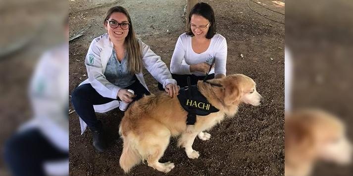 Instituto veterinário para pets de famílias de baixa renda inaugura em Bertioga (SP) Santa Pataa Bertioga - Divulgação