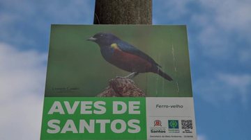 Placas informativas espalhadas pela orla da cidade informam aves já catalogadas naquele local Circuito das Aves facilita observação de 300 espécies catalogadas em Santos Placas de pássaro catalogado em Santos - Isabela Carrari/Prefeitura de Santos