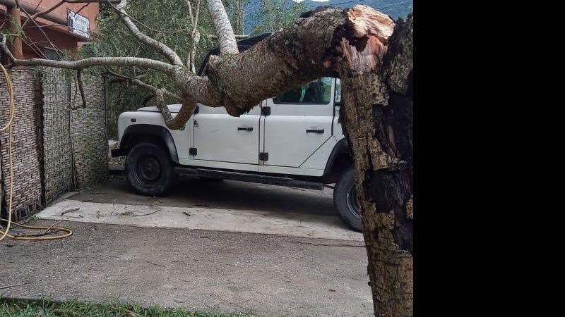 Árvore cai sobre um carro em Ilhabela, SP Defesa Civil atende ocorrências devido à chuva intensa em Ilhabela - Foto: Divulgação/ Defesa Civil de Ilhabela