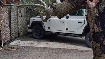 Árvore cai sobre um carro em Ilhabela, SP Defesa Civil atende ocorrências devido à chuva intensa em Ilhabela - Foto: Divulgação/ Defesa Civil de Ilhabela