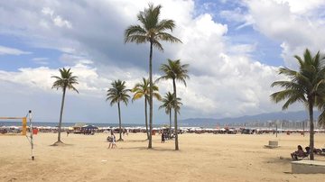 Será que vai chover em Praia Grande esta semana? Veja como fica o tempo em Praia Grande nesta semana Trecho da praia do Canto do Forte, em Praia Grande, com coqueiros em destaque - Esther Zancan