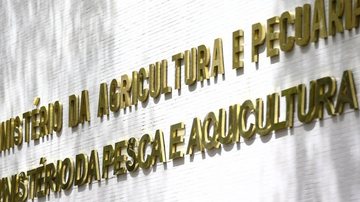 © Marcelo Camargo/Agência