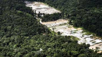 © Daniel Beltrá/ Greenpeace/