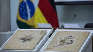 © Joédson Alves/Agência