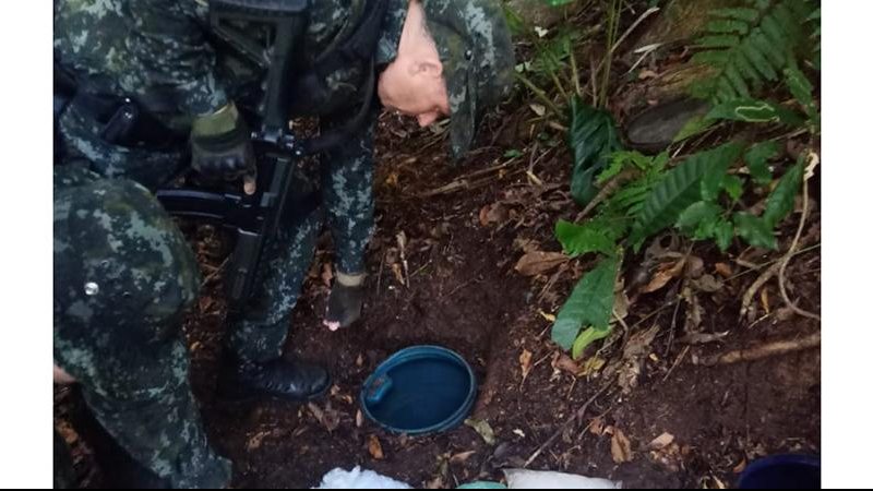 Apreensão foi feita por policiais que participam da Operação Escudo Apreensão de drogas - Divulgação PM Ambiental