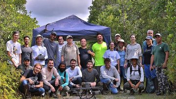©