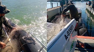 Foram confiscadas 14 redes de pesca Pesca irregular - Divulgação PM Ambiental