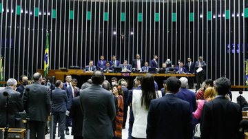 © Elaine Menke/Câmara dos Deputados/Direitos