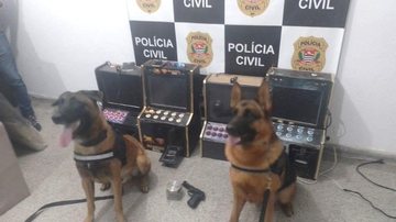 Cães Loki e Agatha em frente às máquinas caça-níquel apreendidas Operação policial apreende máquinas caça-níquel e drogas em São Vicente - Divulgação/Prefeitura de São Vicente