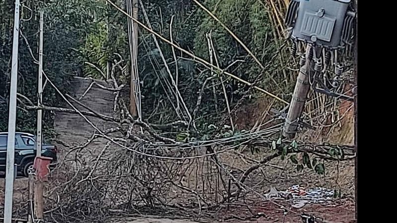 Ventania provocou quedas de árvores e de um poste na rua Maria Caetana, na Barra do Sahy, costa sul de São Sebastião Ventos fortes provocam queda de árvore e poste em São Sebastião - Foto: Divulgação
