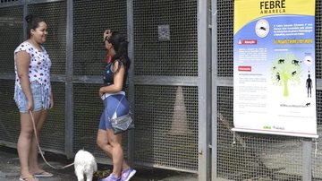 © Rovena Rosa/Agência