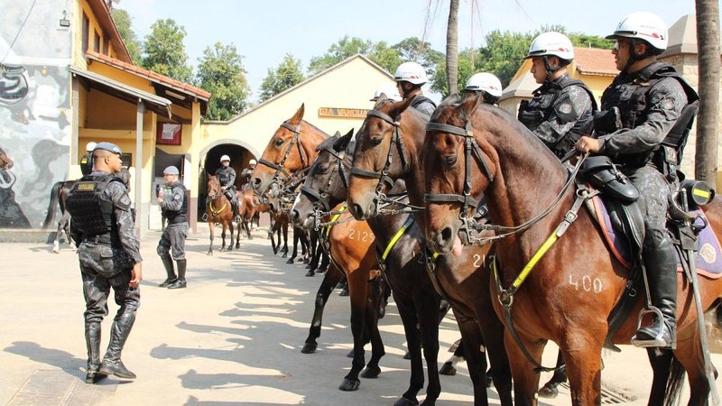 Principal função da cavalaria é manter a ordem pública por meio do controle de multidão  Cavalaria da Polícia Militar - Karla Neves/PM