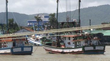 SBT Santa Catarina/Todos Direitos Reservados