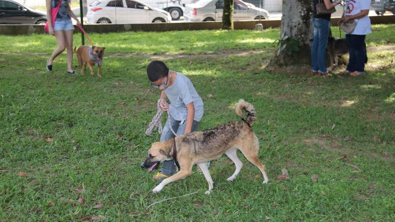 Imagem Vereador propõe implantação de um Pet Park em Bertioga