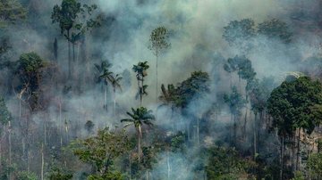 GREENPEACE/AFP