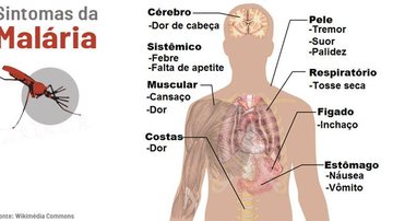 Reprodução / Internet