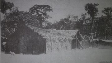 Arquivo JCN