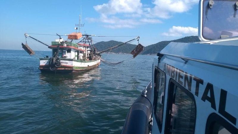 Divulgação/ Polícia Militar Ambiental