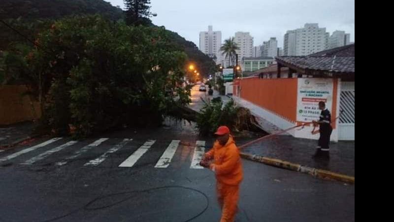 Divulgação