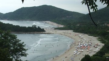 Bruna Vieira Guimarães