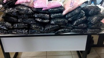 Imagem Polícia Civil deflagra operação na Baixada Santista e Vale do Ribeira