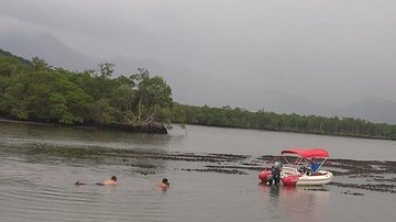 Divulgação/Polícia Ambiental