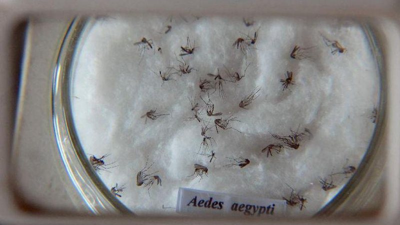 Arquivo/Agência Brasil