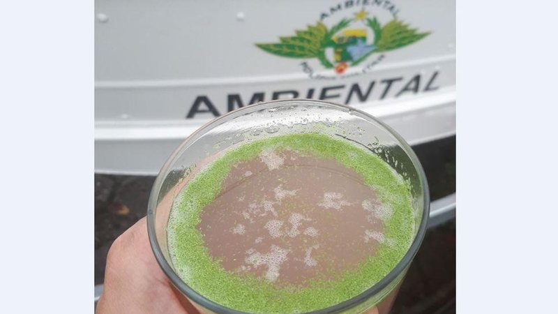 Divulgação/Polícia Ambiental