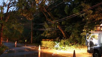 Trecho parcialmente interditado na rodovia Rio-Santos, entre a Praia Grande e Pitangueiras, em São Sebastião, devido a uma queda de árvore na fiação elétrica - Divulgação/PMSS