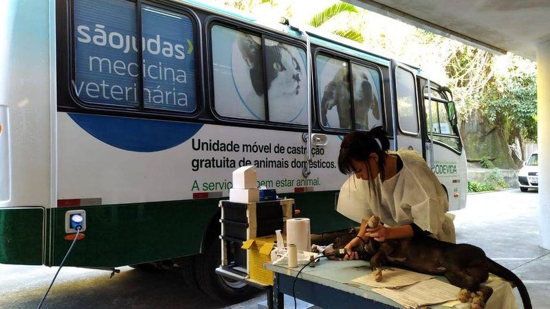 Divulgação