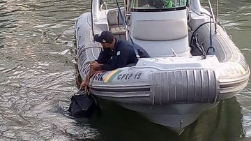 Divulgação
