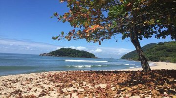 praia - PMS