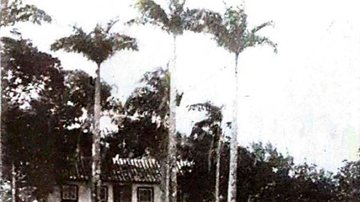 Arquivo JCN