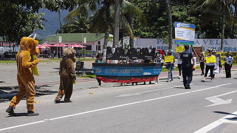 Portando faixas e cartazes, manifestantes caminham pela principal avenida de São Sebastião - Reginaldo Pupo