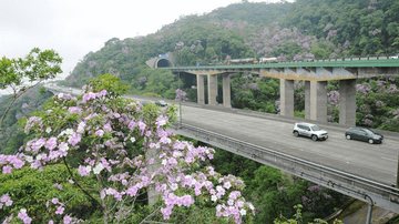 Trecho de serra da rodovia dos Imigrantes - Divulgação/Ecovias