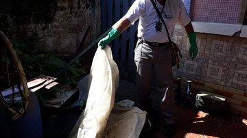 Prefeitura mantém as ações de combate à dengue, chikungunya e zika no inverno - Divulgação